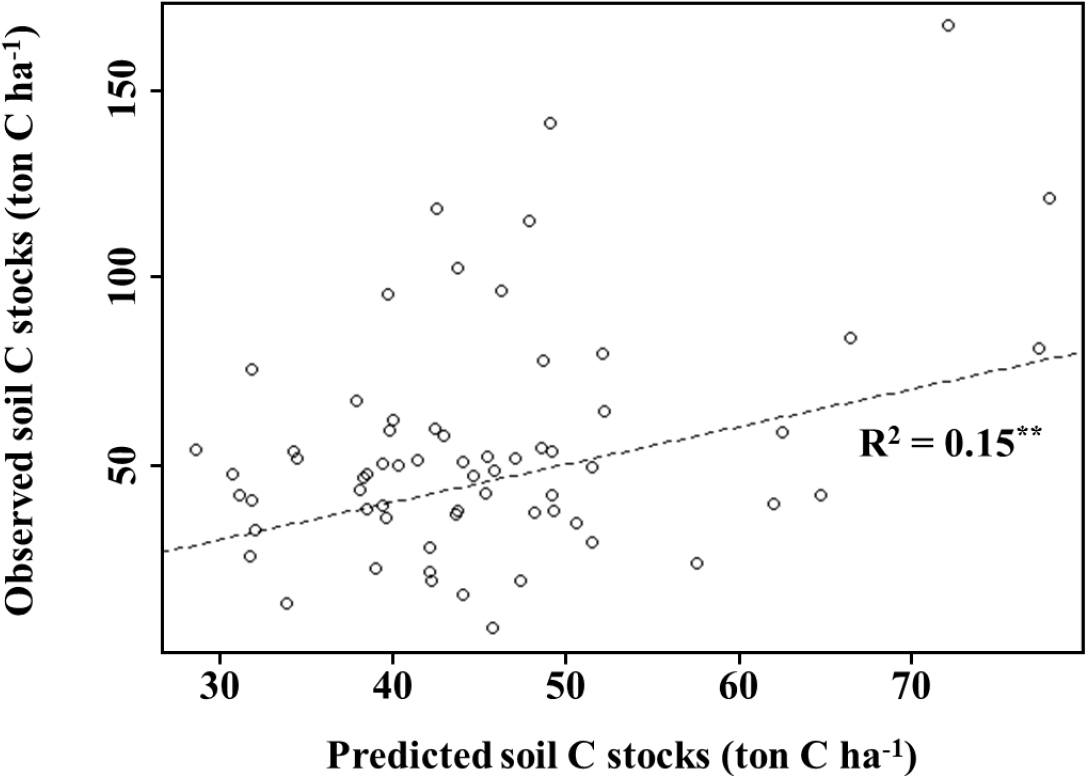 Statistical Estimation of Soil Carbon Stocks in Chungcheong Province ...